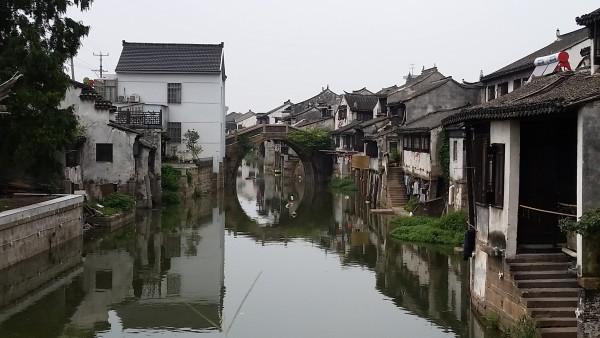小猫钓鱼正版下载中文版
